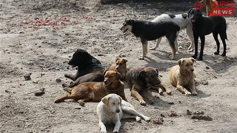 Богд ууланд өнөөдөр, маргааш гарахгүй байхыг анхаарууллаа