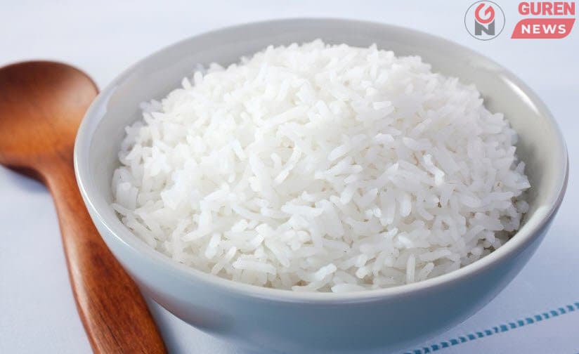 Цагаан будааны талаар зохисгүй хошигнол хэлсэн Японы Хөдөө аж ахуйн сайд огцорлоо