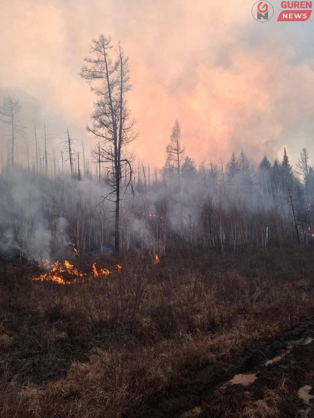 Хан хэнтий тусгай хамгаалалттай бүсэд гарсан ойн түймэр хүрээгээ улам тэлсээр байна