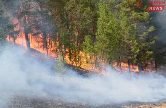 ОБЕГ: Ой хээрийн түймрийн улмаас 4,3 тэрбум төгрөгийн хохирол учирсан