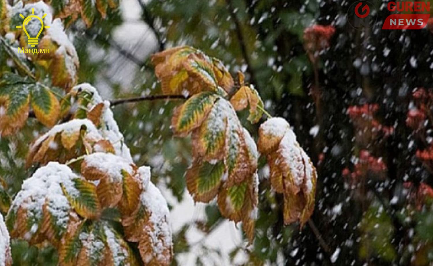 Ирэх өдрүүдэд нойтон цас, бороо холилдон орж сэрүүснэ