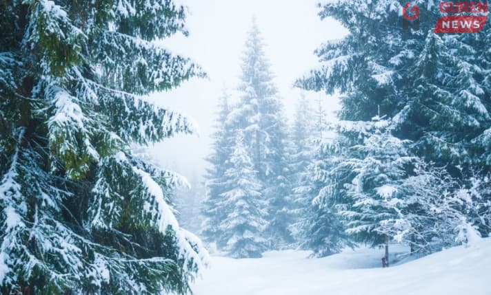 Даваа гарагаас сэрүүсч, цас, бороо холилдон орно