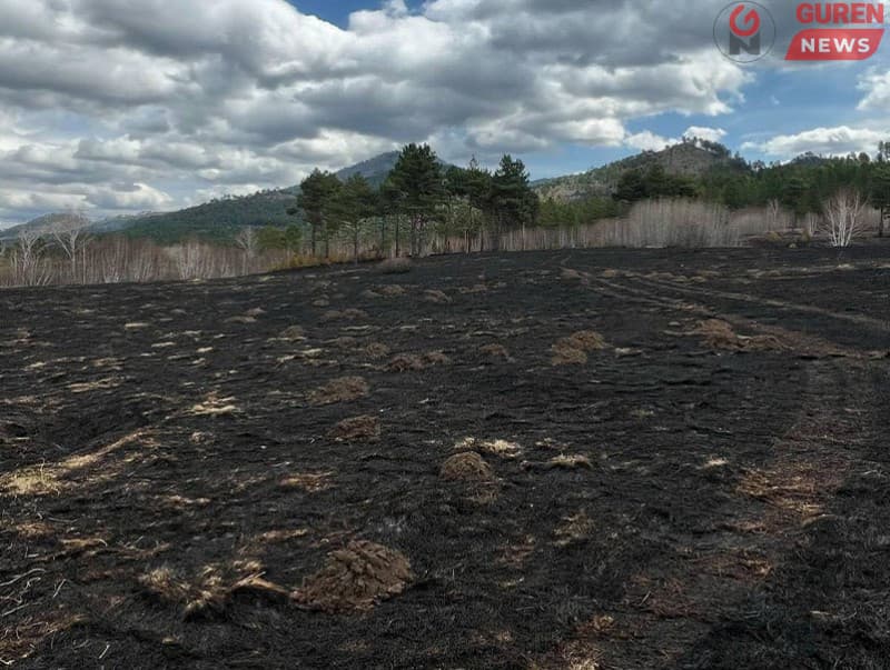 Хэнтий аймгийн Норовлин суманд гарсан ойн түймрийг бүрэн унтраажээ