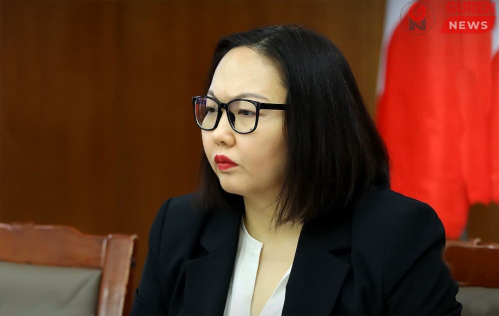 Ардчилсан нам :Сайд болон яамдын тоог 50 хувиар бууруулах шаардлагатай