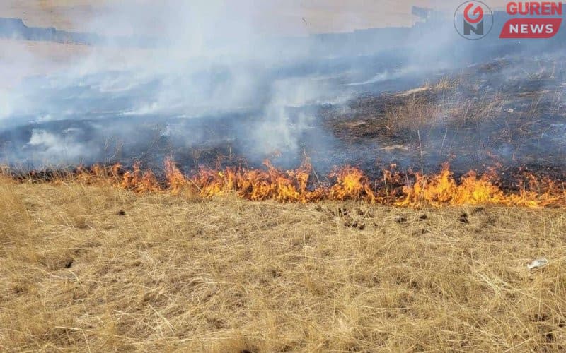 ОБЕГ: Өнжмөл шар өвс шатаах гээд гал тавьсан хэрэг дараалан гарлаа