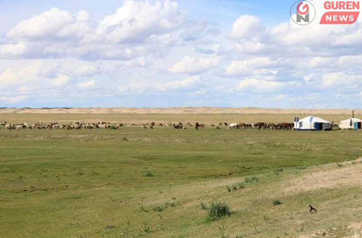 Баруун болон говийн аймгийн нутгаар бэлчээрийн ургалт муу байна