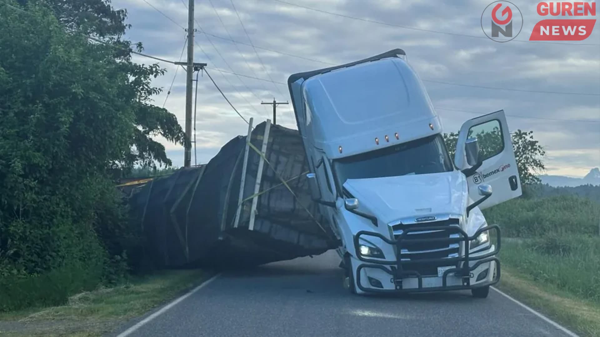 250 сая зөгий алдагджээ