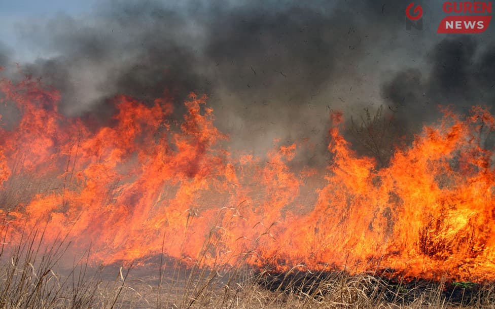 Нийт нутгийн зургаан хувь нь ой, хээрийн түймэрт өртөх эрсдэл “маш их” байна
