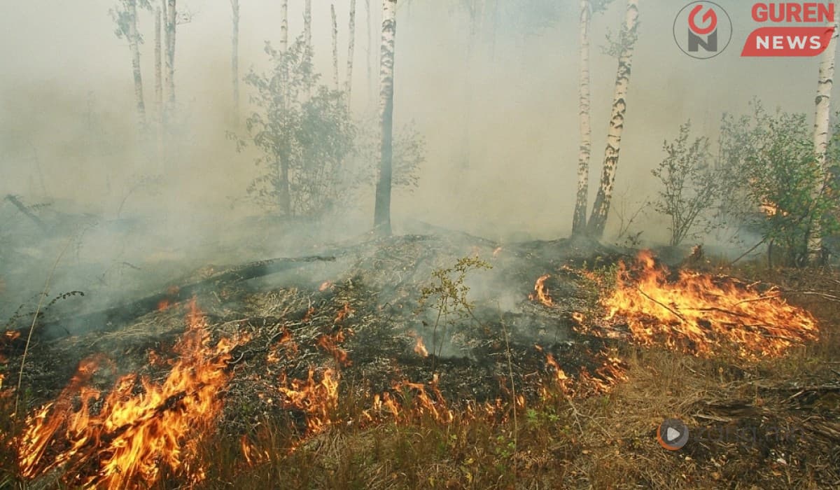 Сэлэнгэд ой хээрийн 10 түймэр асаж байгаа ч тоож байгаа албан тушаалтан алга!