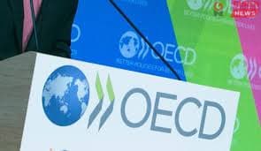 🏦 Монгол Улсын зээлийн эрсдэлийн ангилал ахицтай: OECD–гээс “7/7” → “6/7” болголоо