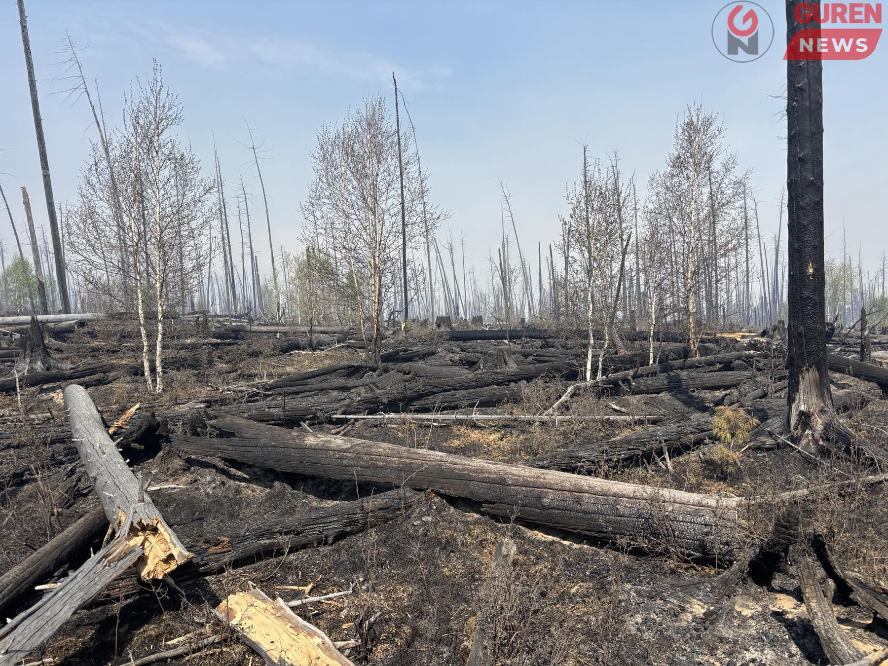 Улсын xэмжээнд 22 ойн түймэртэй байна