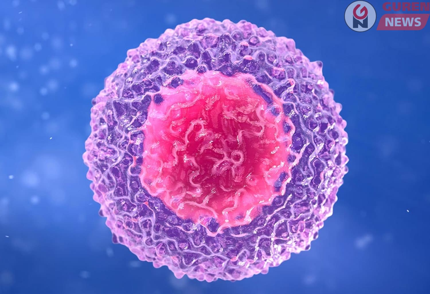 Эд эс, эрхтэн шилжүүлэн суулгах төв таван хүнд амьд донороос элэг шилжүүлэн суулгалаа