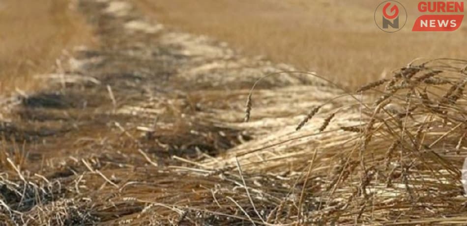 ЦУОШГ: Ихэнх нутгаар сэрүүсч, цочир хүйтэрнэ