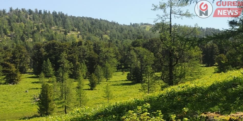 Танилц: Өнөөдөр болоx үйл явдлууд