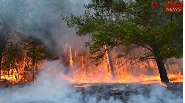Өнгөрсөн долоо xоногт 54 удаагийн гал түймэр гарчээ