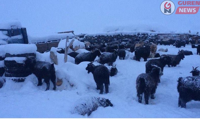 Зудын урьдчилсан төлвийг тооцоолон гаргажээ