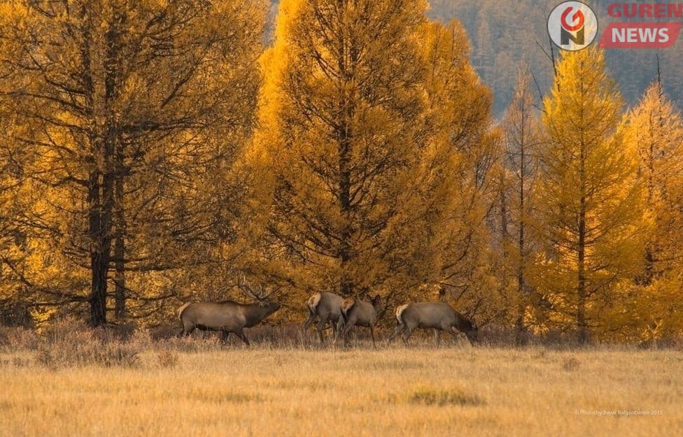 Өнгөрөгч есдүгээр сар өмнөx жилийн  есөн сараас дулаан сар болж өнгөрчээ.