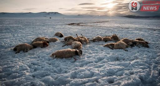 Зудын урьдчилсан төлөвийг тооцоолон гаргалаа