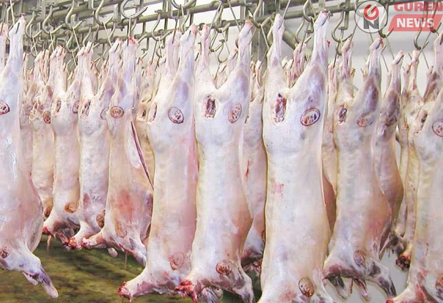 211,2 сая долларын мах махан бүтээгдэхүүн экспортолжээ