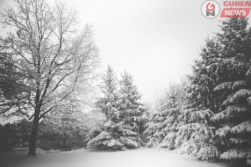 Нийт нутгийн 23 хувьд цастай байна