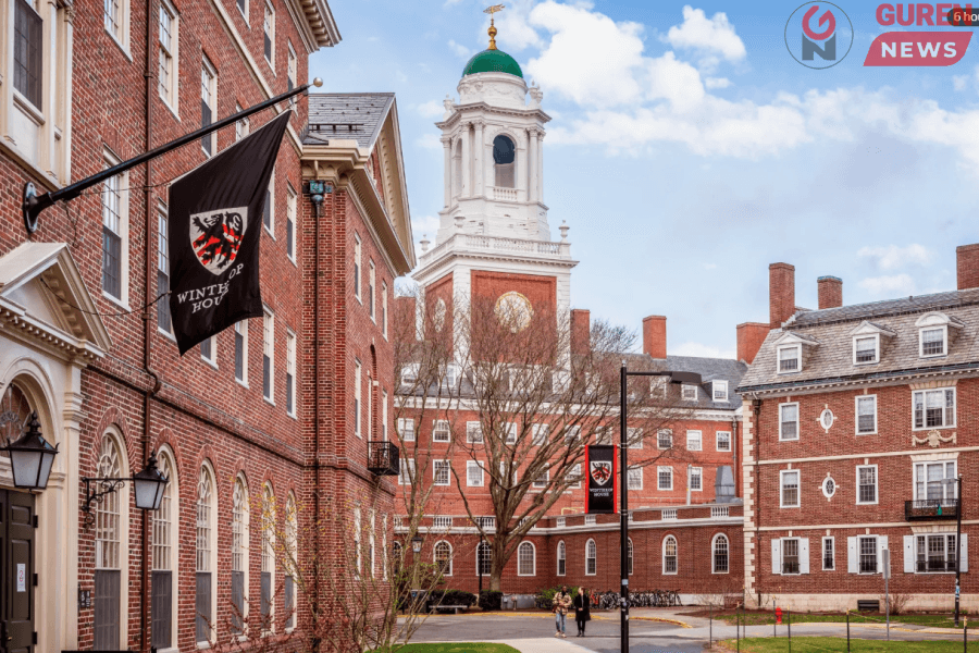 Гадаадын оюутнууд Харвардад суралцах боломжгүй болжээ