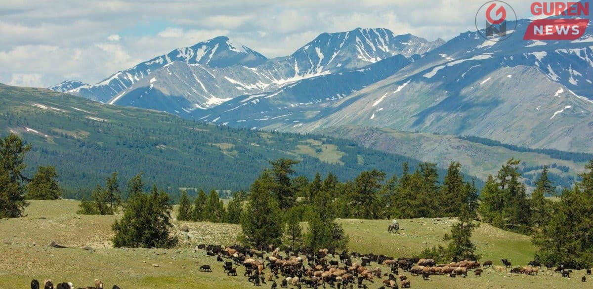 Нутаг, мал, ус гурвыг дээдэлсэн өвгөдийн маань ухаан