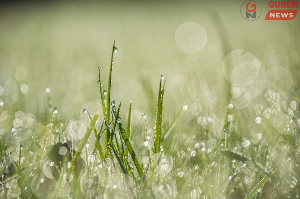 Алтай, Хангай, Хөвсгөлийн уулархаг нутгаар бороо орно