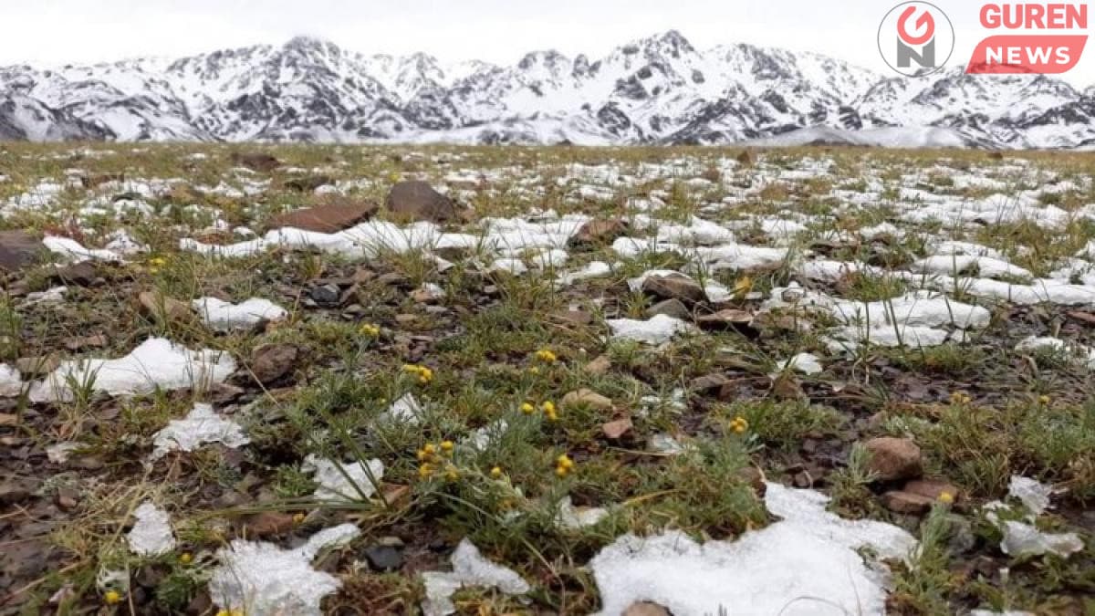 Сэрэмжлүүлэг: Завхан, Баянхонгор, Баян-Өлгийн нутгаар цас орно
